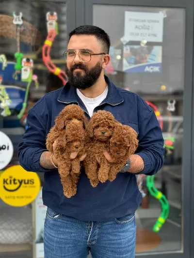 Çağrı Çemçemin Kataloğunun Şampiyonu