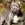 American Bully