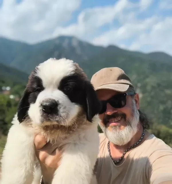 Hei̇di̇ Ni̇n Köpeği̇ Sai̇nt Bernard Yavrular